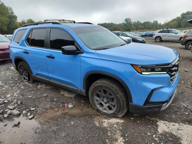 2024 HONDA PILOT TRAI 5FNYG1H69RB023496