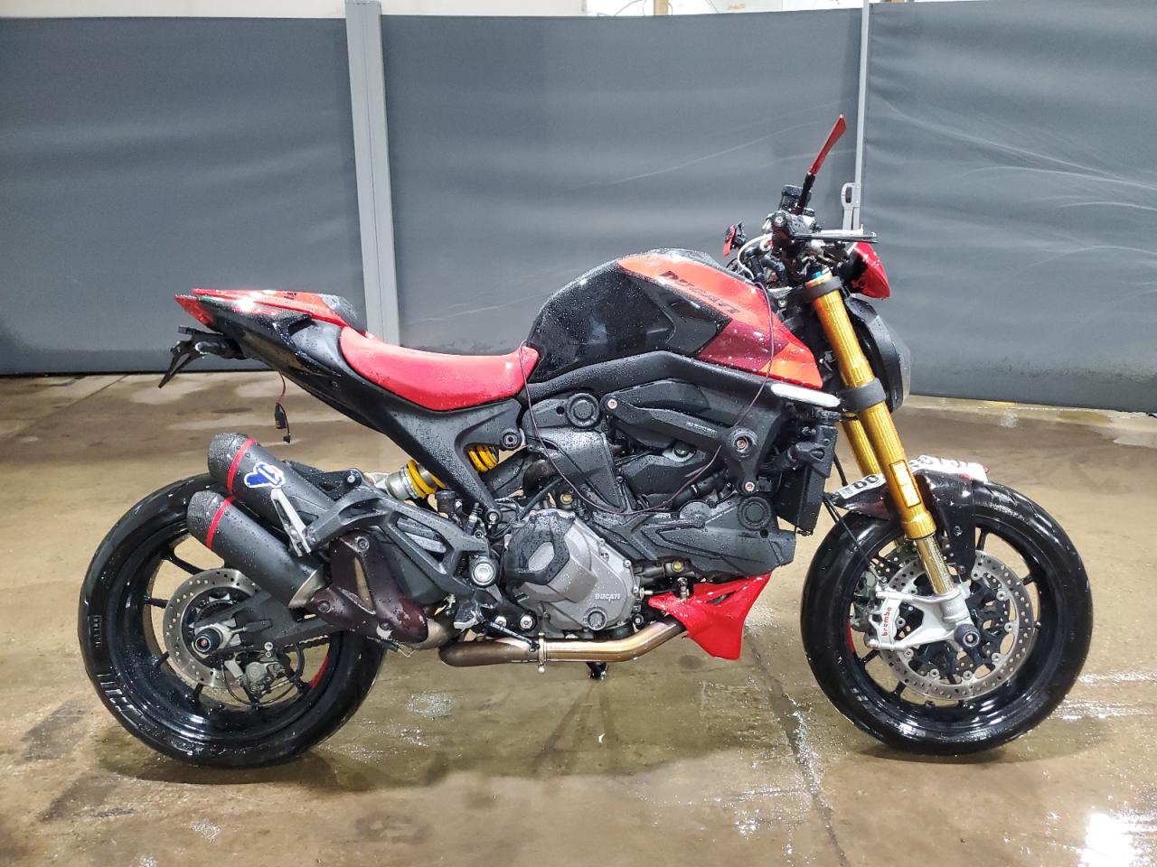 Lot #3309256618 2023 DUCATI MONSTER