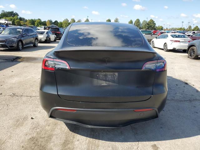 2021 TESLA MODEL Y #3303720416