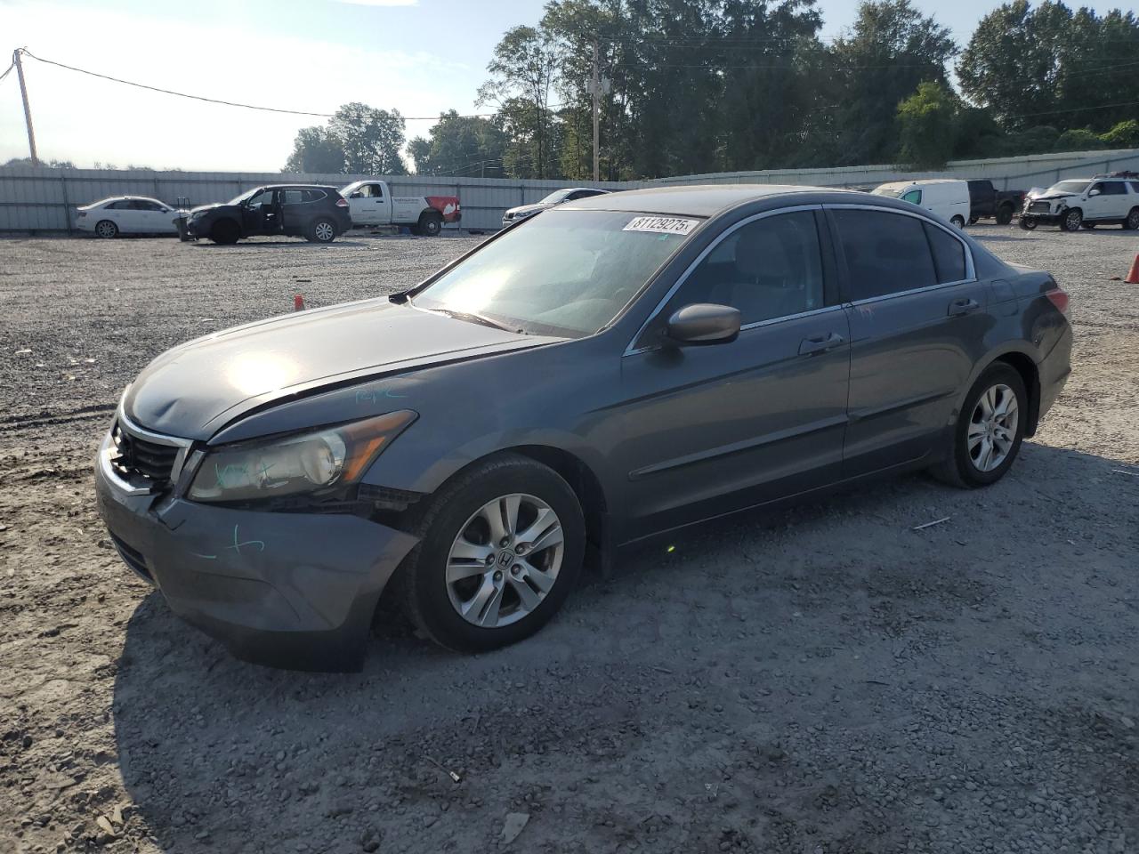 HONDA ACCORD LXP