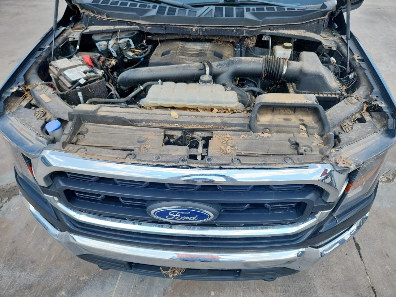 Lot #3234772384 2023 FORD F150 SUPERCREW