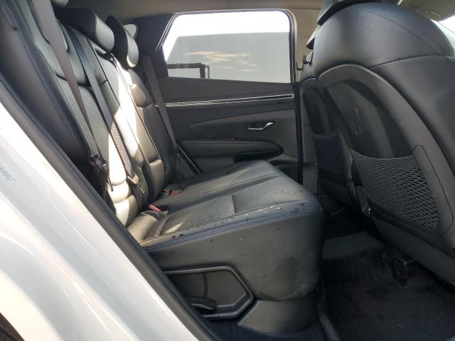 2024 HYUNDAI TUCSON LIM - KM8JECD13RU229221