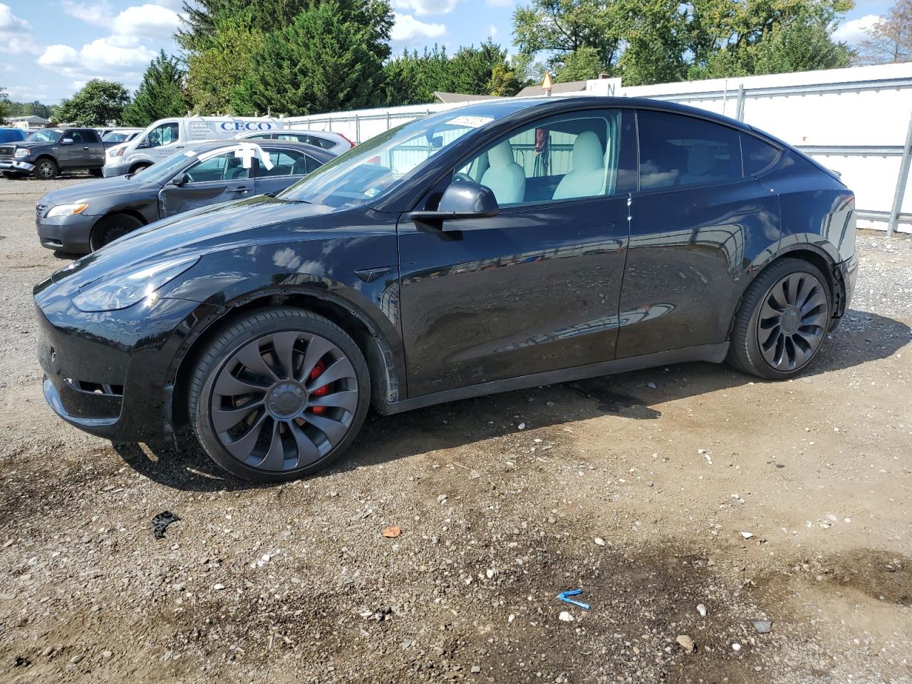 TESLA MODEL Y