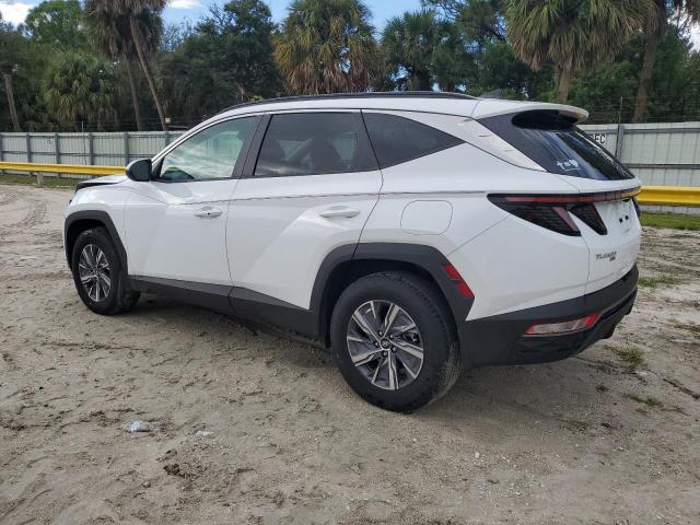 2022 HYUNDAI TUCSON BLUE KM8JBCA12NU056315