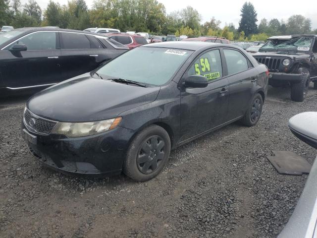 2013 KIA FORTE EX - KNAFU4A29D5716309