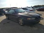 Lot #3302650043 2001 FORD MUSTANG