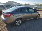 Lot #3301603712 2014 FORD FOCUS SE