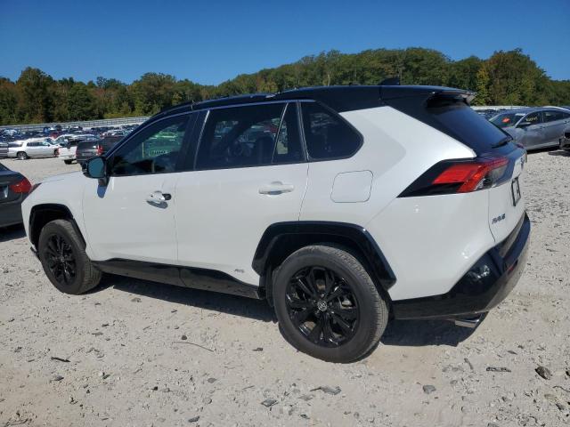 2023 TOYOTA RAV4 XSE #3290287247