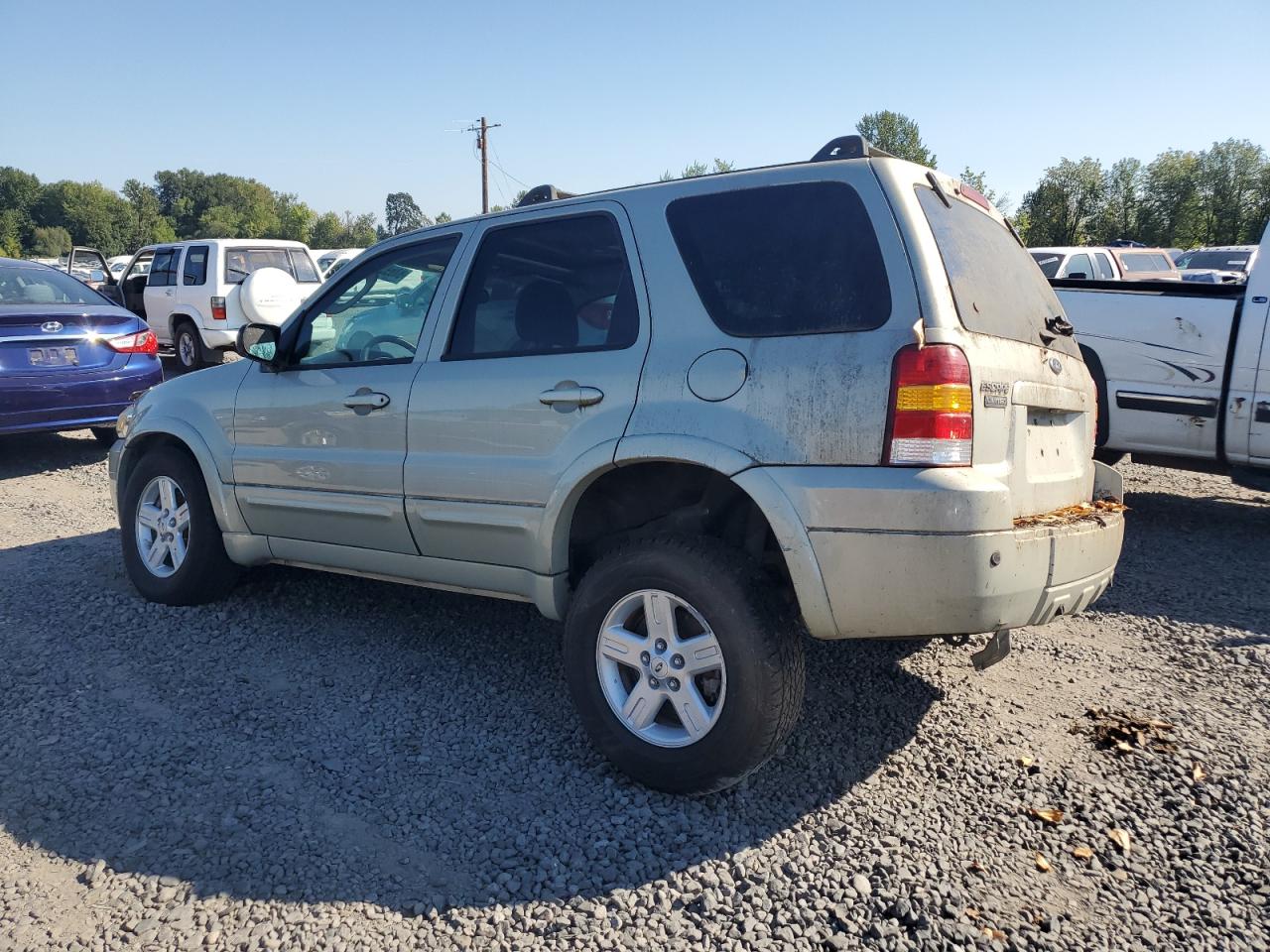 Lot #3253940609 2005 FORD ESCAPE LIM