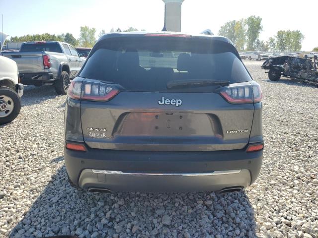 2019 JEEP CHEROKEE L - 1C4PJMDX6KD375896