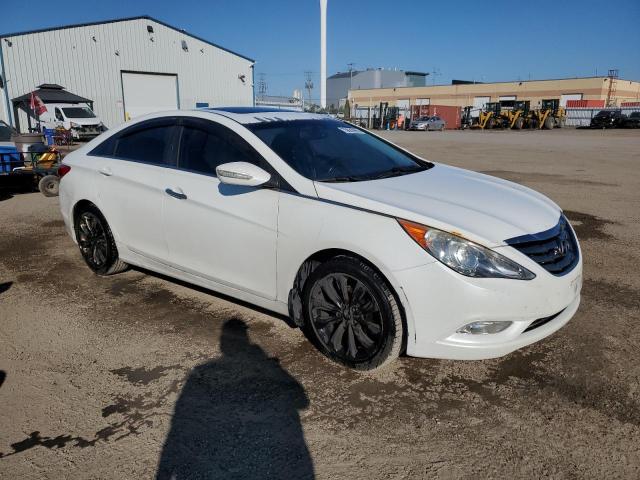 2011 HYUNDAI SONATA SE - 5NPEC4AB2BH185744