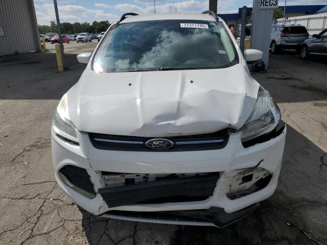 2014 FORD ESCAPE SE - 1FMCU0GX6EUB25181
