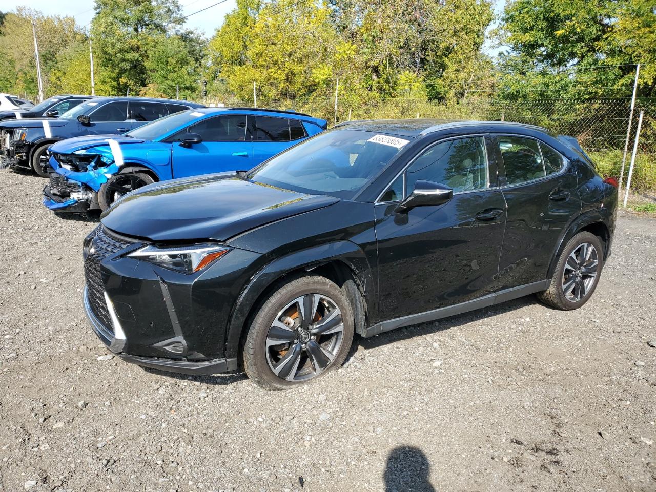 Lot #3286499239 2024 LEXUS UX 250H PR
