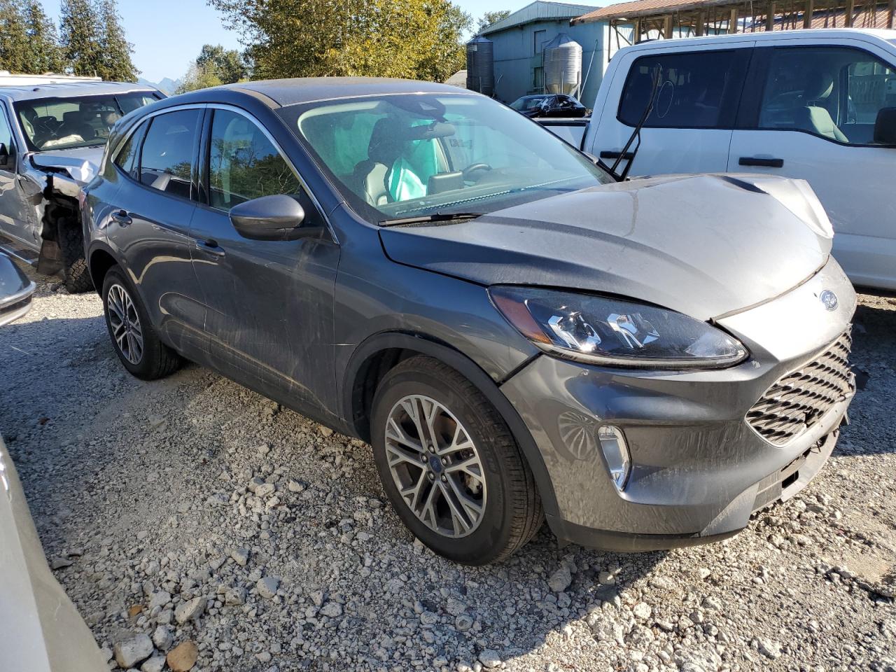 FORD ESCAPE SEL