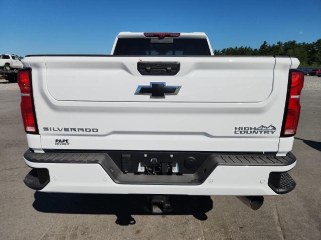 2025 CHEVROLET SILVERADO - 2GC4KREY3S1192195