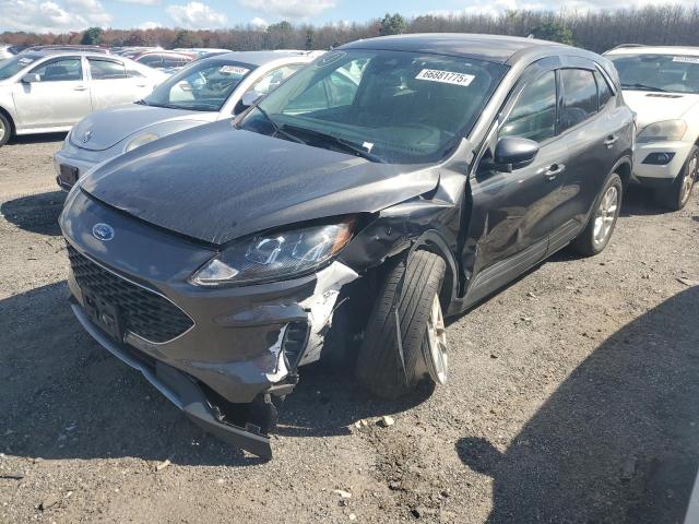 Global Auto Auctions: 2020 FORD ESCAPE SE