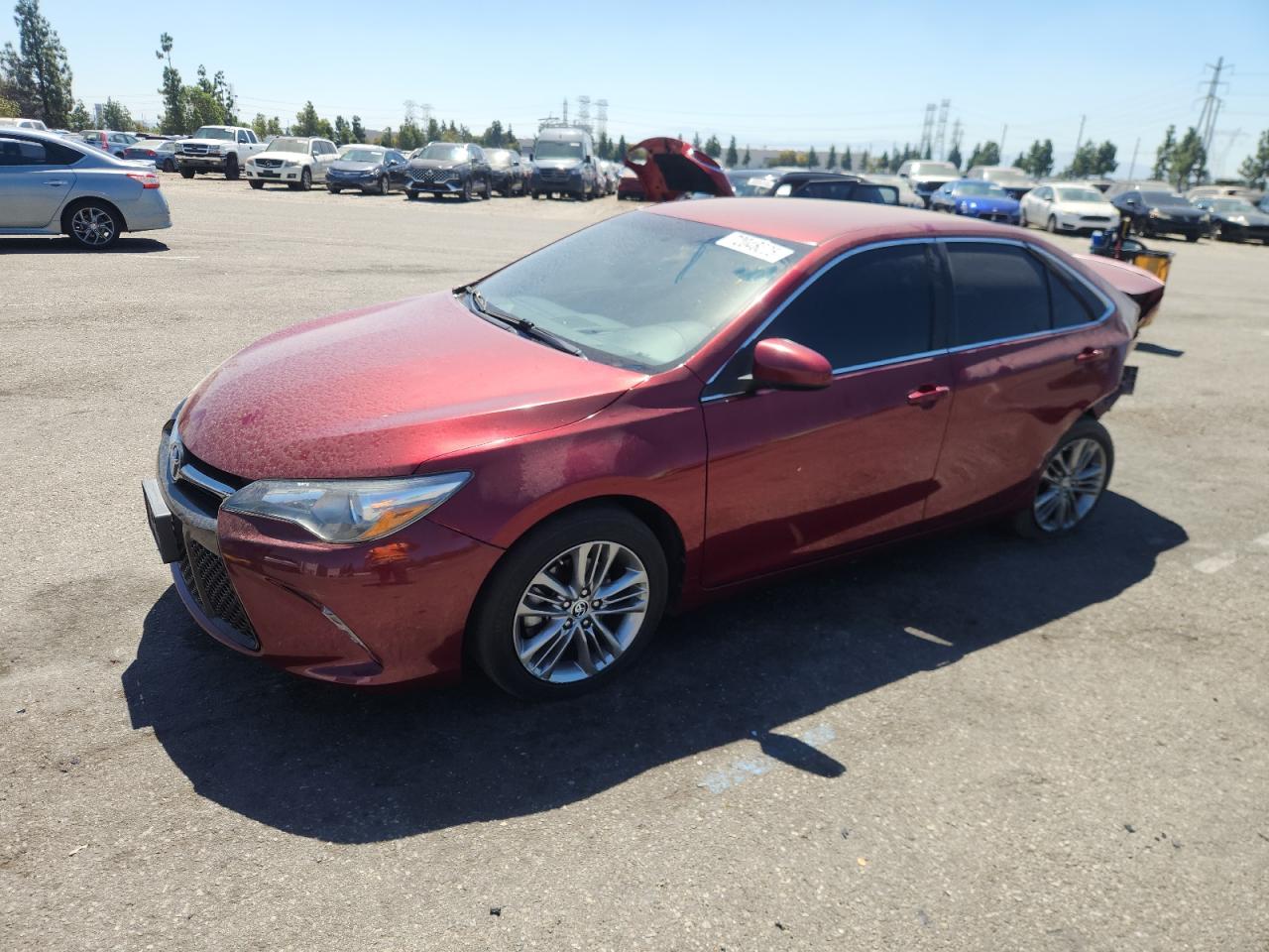 TOYOTA CAMRY LE