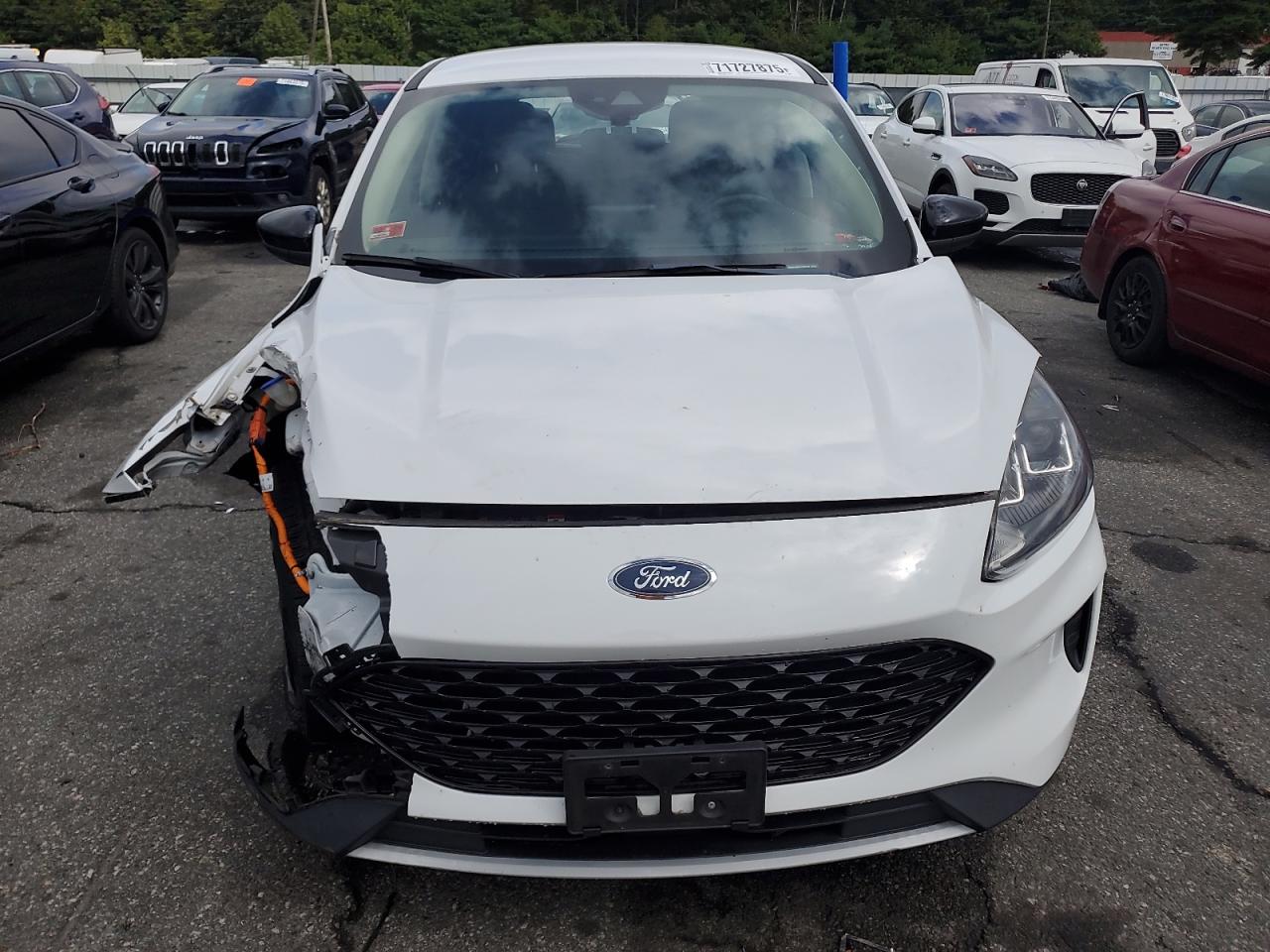 FORD ESCAPE SE SPORT