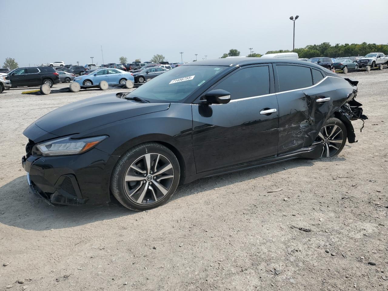 NISSAN MAXIMA SV