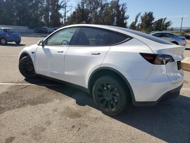 2023 TESLA MODEL Y #3319214708
