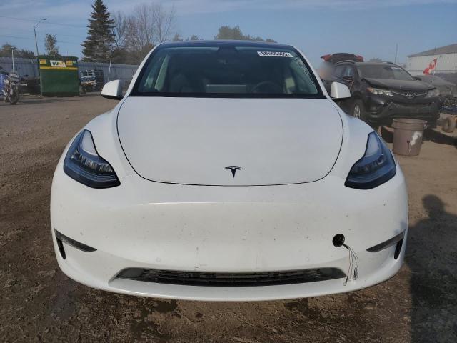 2021 TESLA MODEL Y 5YJYGDEE5MF067517