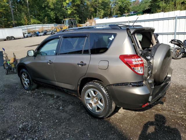 2010 TOYOTA RAV4 - 2T3BF4DV2AW031199