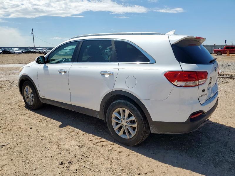 2016 KIA SORENTO LX 5XYPGDA32GG038845