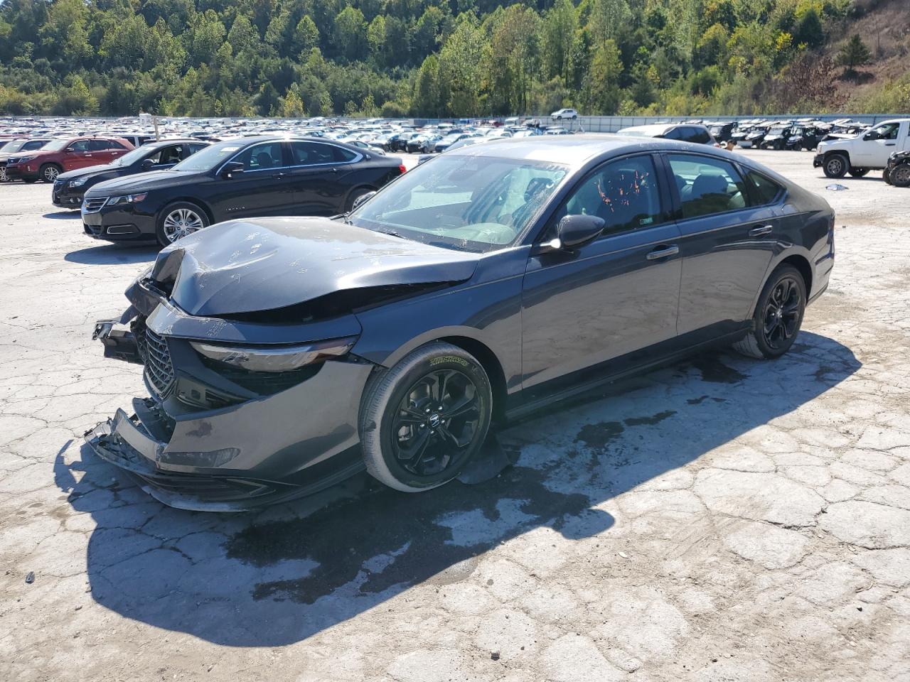 Lot #3296941865 2025 HONDA ACCORD SE