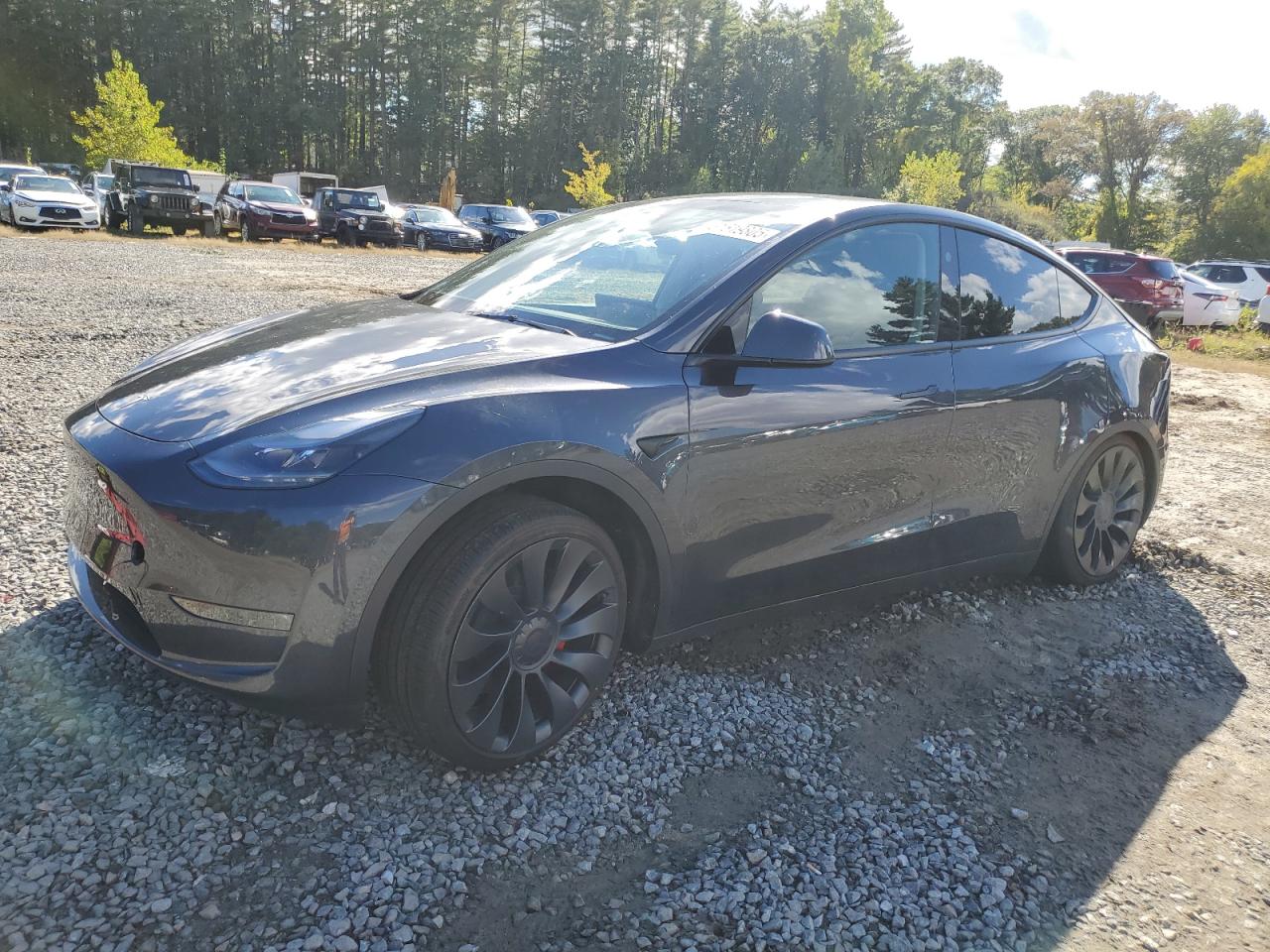 TESLA MODEL Y