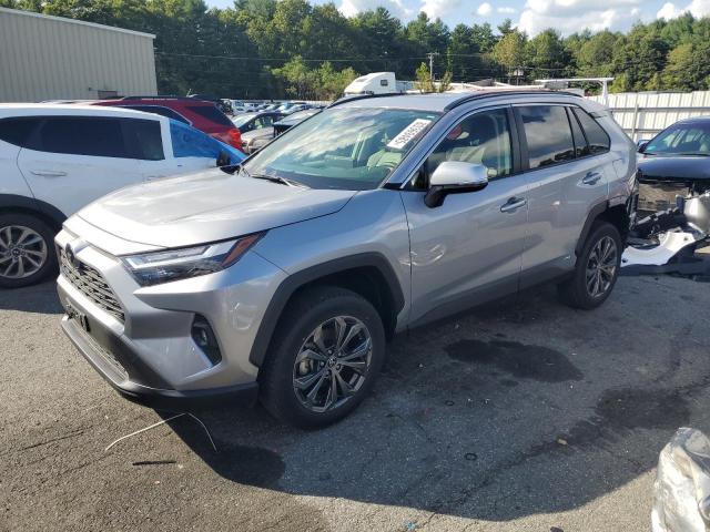 2025 TOYOTA RAV4 XLE PREMIUM JTMB6RFV8SD154854