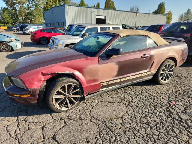 Global Auto Auctions: 2005 FORD MUSTANG