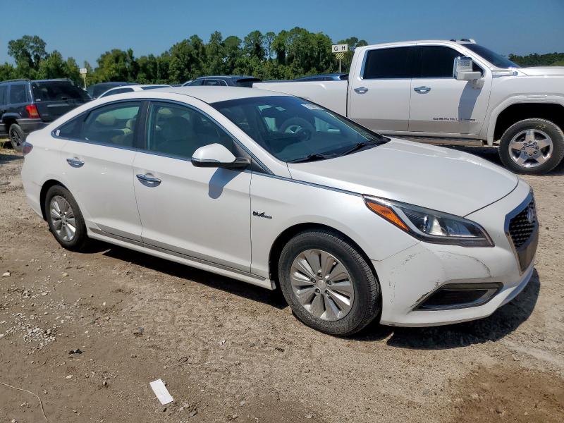 2016 HYUNDAI SONATA HYB - KMHE24L11GA011567