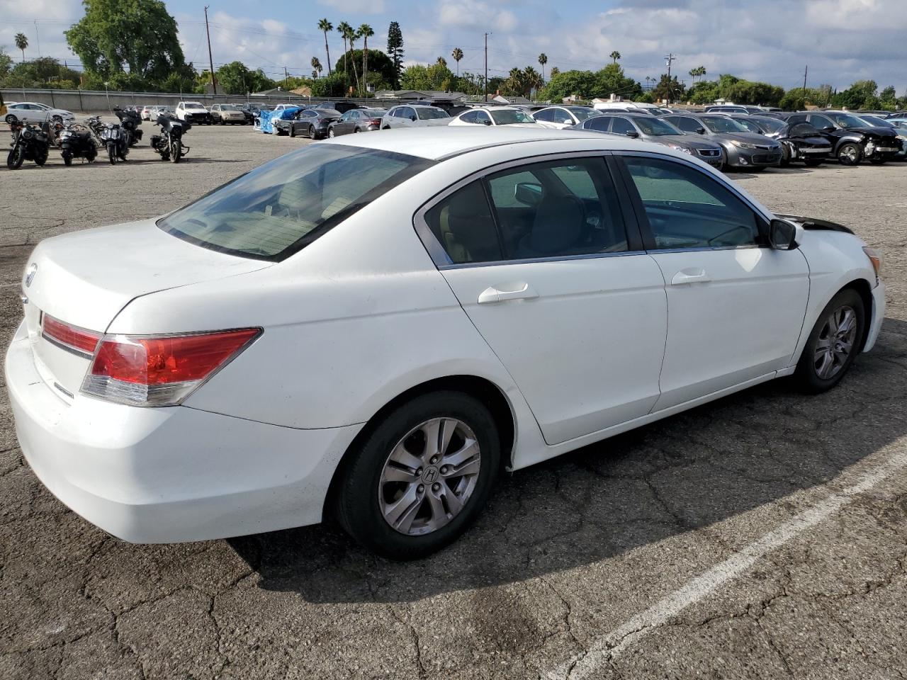 HONDA ACCORD SE