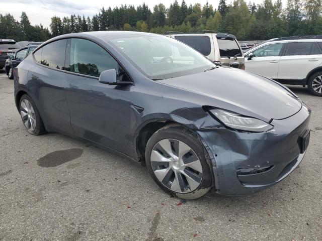 2022 TESLA MODEL Y #3290214230