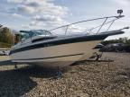 Lot #3297956785 1989 SEA RAY 250 SUNDANCE