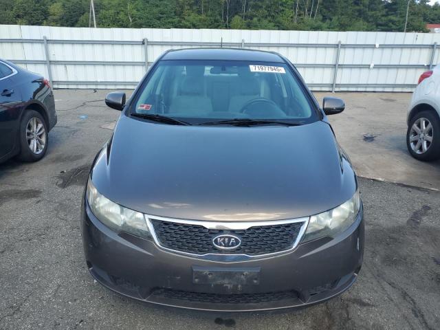 2013 KIA FORTE EX - KNAFU4A20D5657330