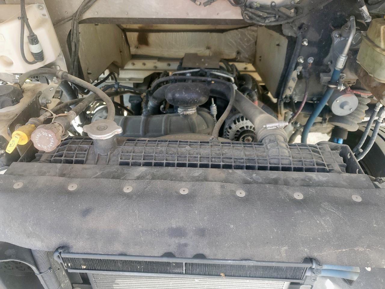 Lot #3308315177 2020 FREIGHTLINER MT45