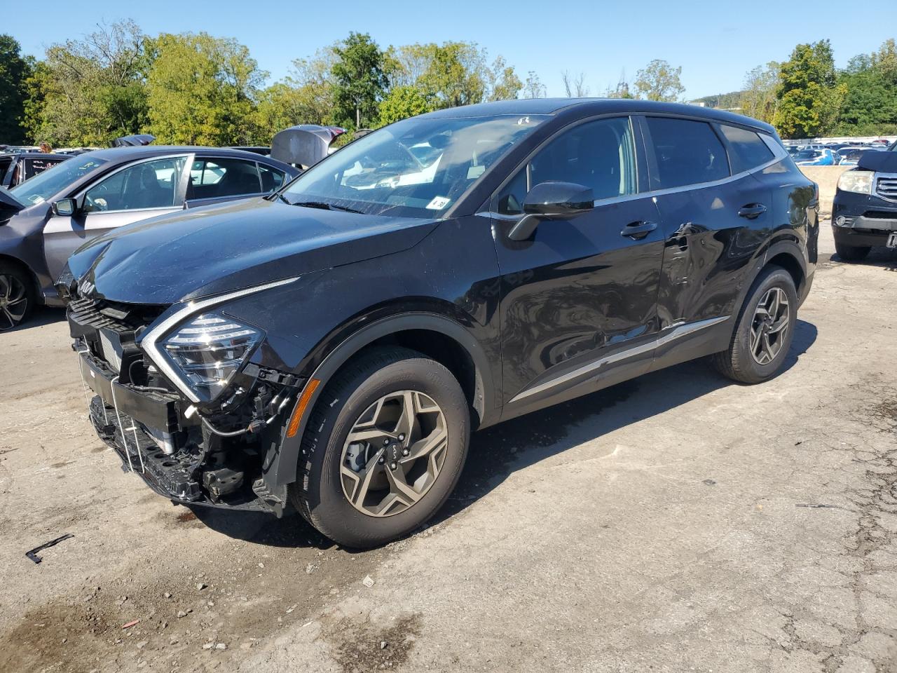 Фото авто