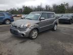 Lot #3303574959 2012 KIA SOUL +
