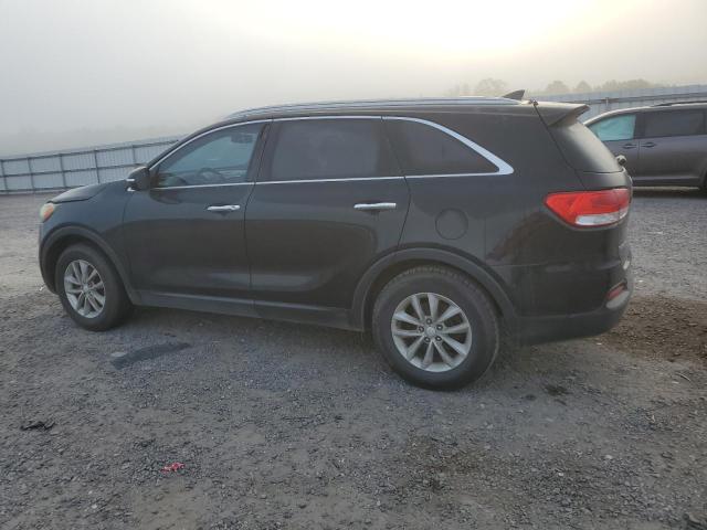 2016 KIA AMANTI 5XYPG4A39GG027518