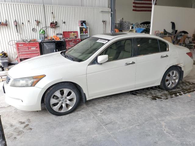 Global Auto Auctions: 2008 HONDA ACCORD EXL