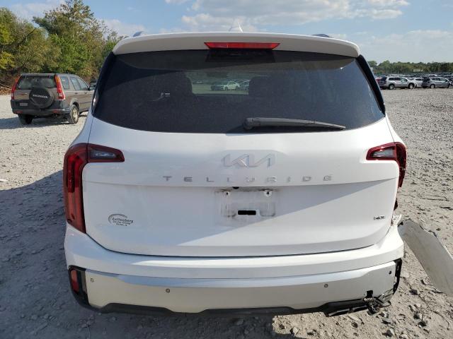 2024 KIA TELLURIDE - 5XYP6DGCXRG546252