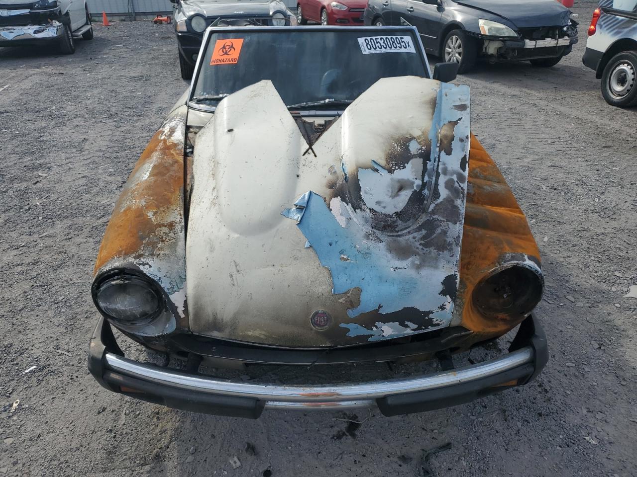 Lot #3241725319 1981 FIAT 124 SPIDER