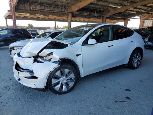Global Auto Auctions: 2023 TESLA MODEL Y