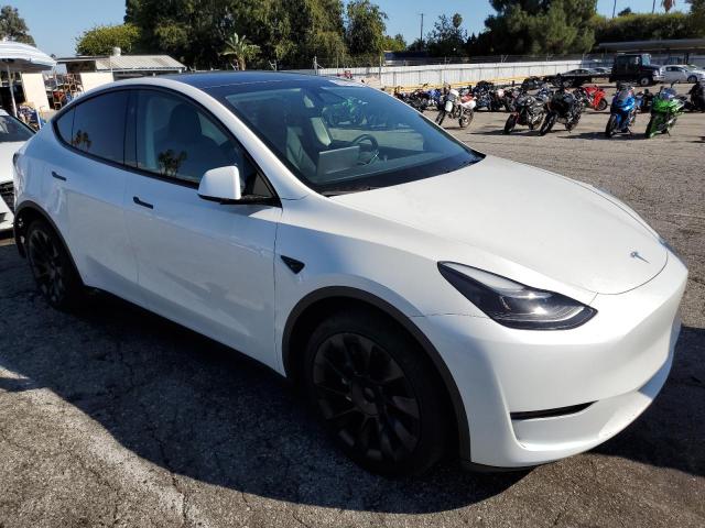 2024 TESLA MODEL Y 7SAYGDEE1RF064317