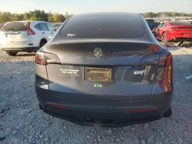 2023 TESLA MODEL Y - 7SAYGDEEXPF689599
