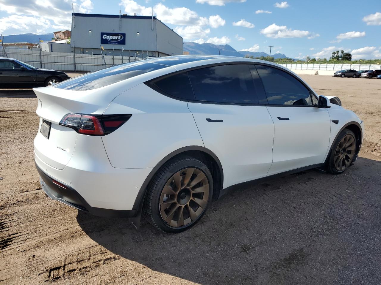 Lot #3302711009 2022 TESLA MODEL Y