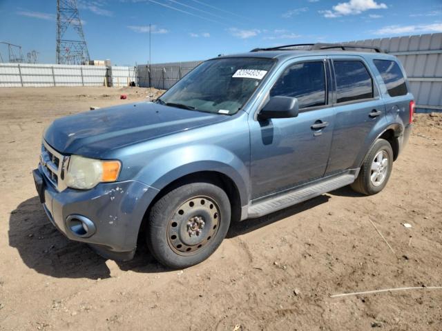 Global Auto Auctions: 2010 FORD ESCAPE XLT