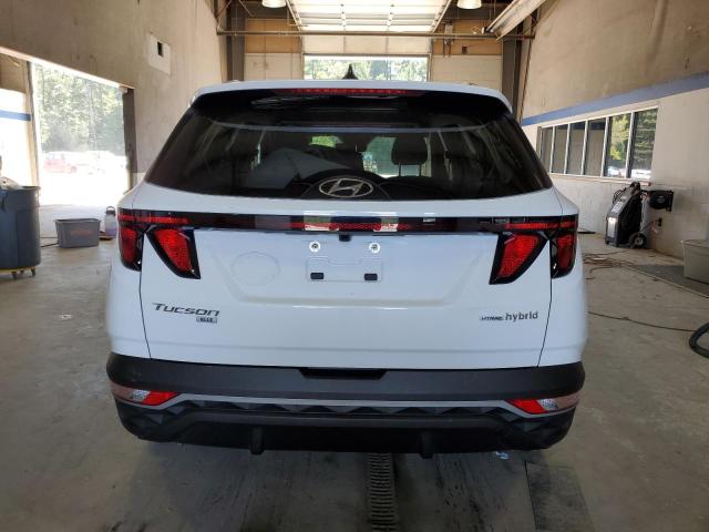 2024 HYUNDAI TUCSON BLU KM8JBCD1XRU154834