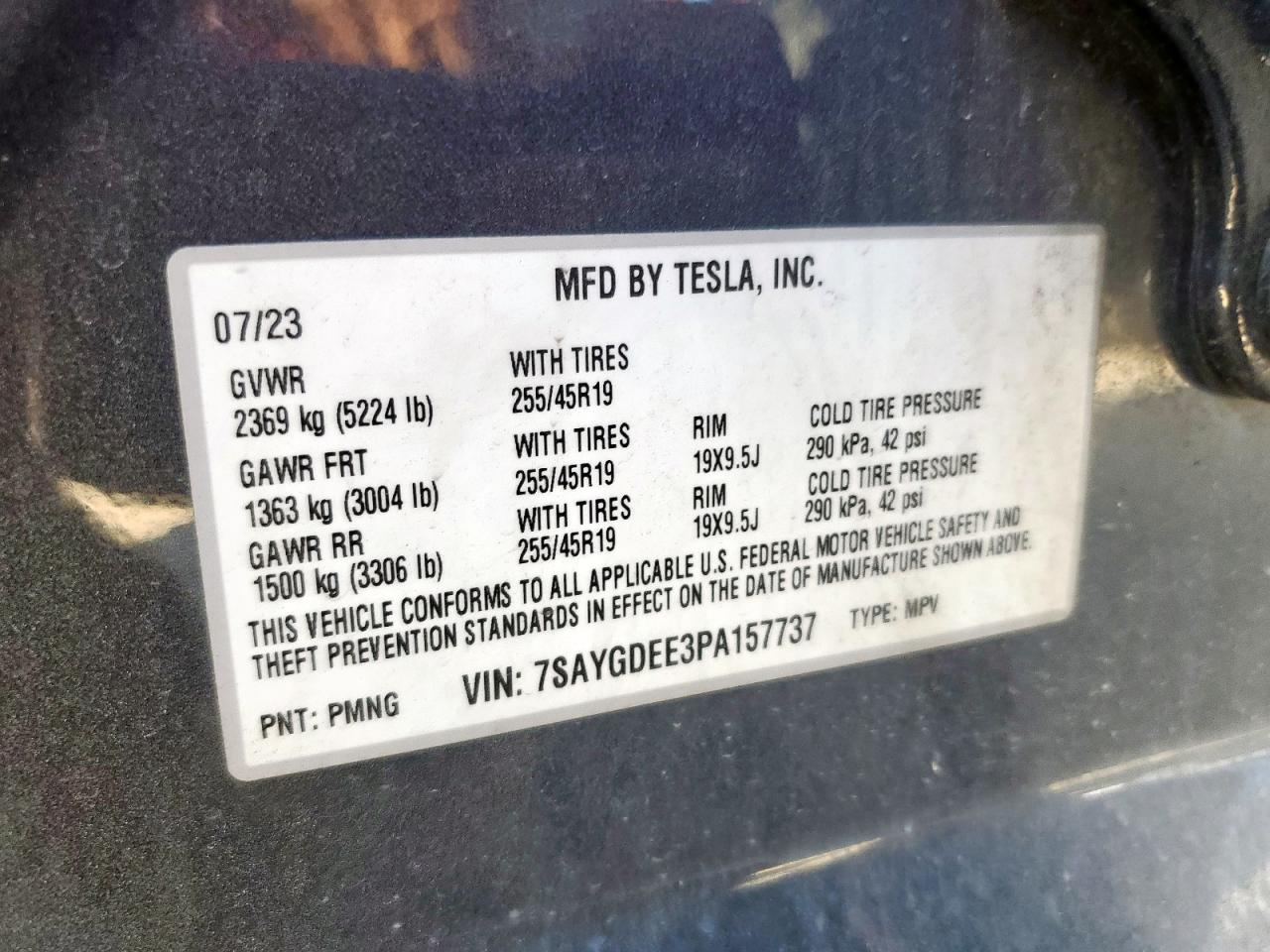 TESLA MODEL Y